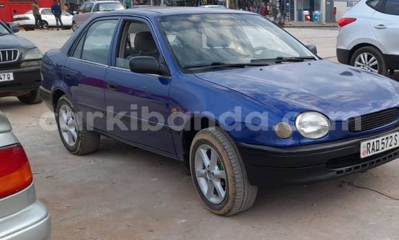 Buy Used Toyota Corolla Blue Car in Kampala in Uganda