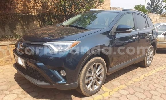 Buy Used Toyota RAV4 Blue Car in Kampala in Uganda Buy Used Toyota RAV4 Blue Car in Kampala in Uganda