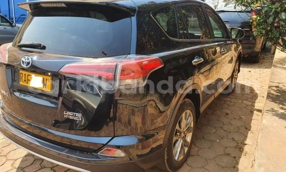 Buy Used Toyota RAV4 Blue Car in Kampala in Uganda Buy Used Toyota RAV4 Blue Car in Kampala in Uganda