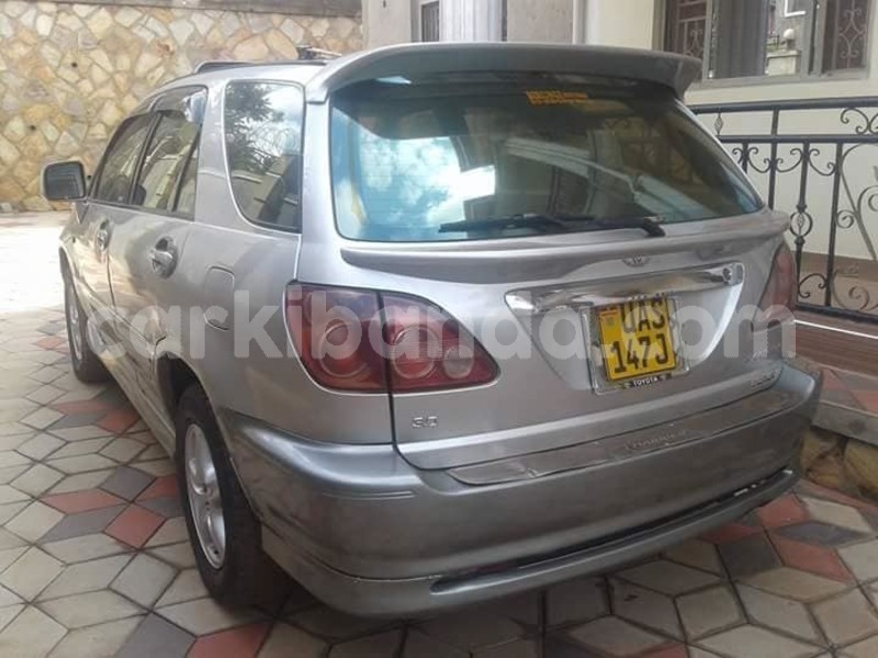 Big with watermark 44545766 924933297705429 2435478956296634368 n