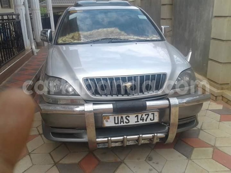 Big with watermark 44548631 924933181038774 3392657403697692672 n