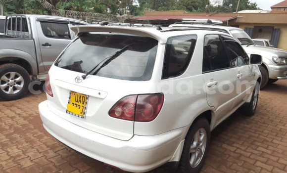 Nunua Ilio tumika Toyota Harrier Nyeupe Gari ndani ya Kampala nchini Uganda Nunua Ilio tumika Toyota Harrier Nyeupe Gari ndani ya Kampala nchini Uganda