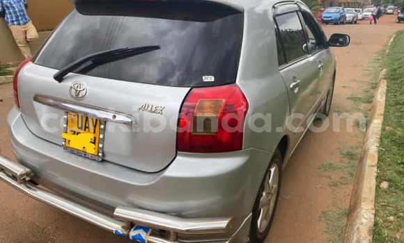 Acheter Occasion Voiture Toyota Allex Gris à Kampala, Ouganda Acheter Occasion Voiture Toyota Allex Gris à Kampala, Ouganda