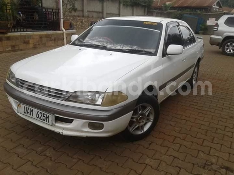 Big with watermark 44228366 922710111261081 1952891607669800960 n