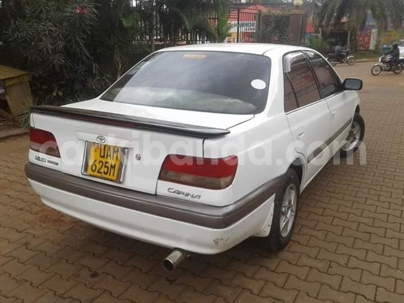 Big with watermark 44393562 922710084594417 2466651648542375936 n