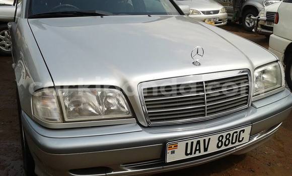 Buy Used Mercedes‒Benz C–Class Silver Car in Arua in Uganda