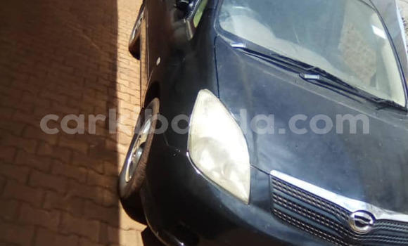 Buy Used Toyota Spacio Black Car in Kampala in Uganda