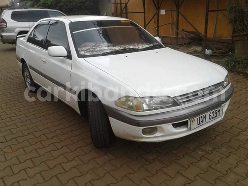 Big with watermark 44383294 922710131261079 7980197386569908224 n