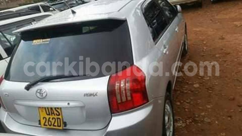 Big with watermark 44588536 2239237486297684 2652555292155314176 n