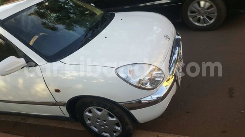 Big with watermark 44526541 2239237406297692 1120302658217836544 o