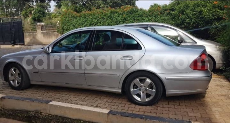 Big with watermark 44522029 702452600111036 4885696853078704128 n