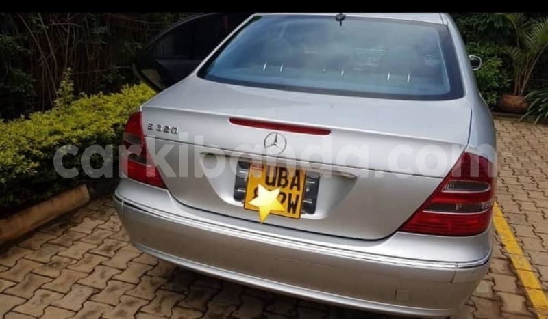 Big with watermark 44597007 702452453444384 1718980434529878016 n