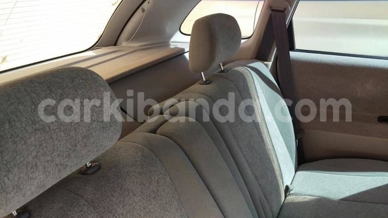 Big with watermark 44144633 699714820384814 5989434178918154240 n