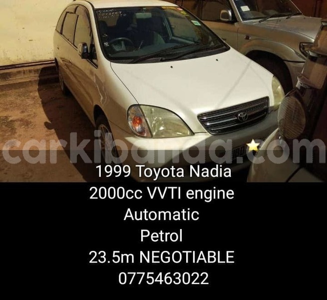 Big with watermark 44242032 699714657051497 2701505120327172096 n