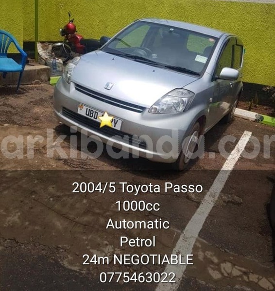 Big with watermark 44065470 699077450448551 5725415443947061248 n