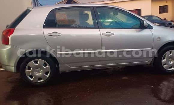 Acheter Occasion Voiture Toyota Corolla Gris à Adjumani, Nord Acheter Occasion Voiture Toyota Corolla Gris à Adjumani, Nord