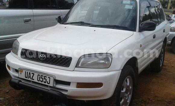 Buy Used Toyota RAV4 White Car in Kampala in Uganda Buy Used Toyota RAV4 White Car in Kampala in Uganda