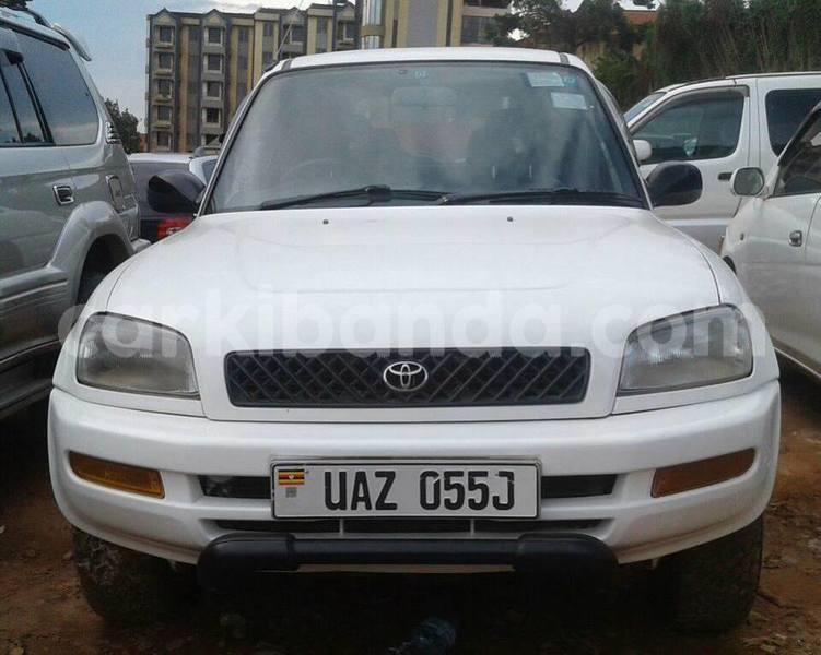 Big with watermark 44832239 319583668842815 7311095753059860480 n