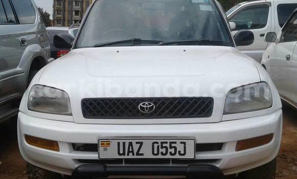 Buy Used Toyota RAV4 White Car in Kampala in Uganda Buy Used Toyota RAV4 White Car in Kampala in Uganda