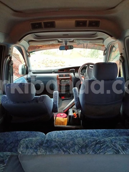 Big with watermark 44942809 1164681033679333 4471803812679516160 n