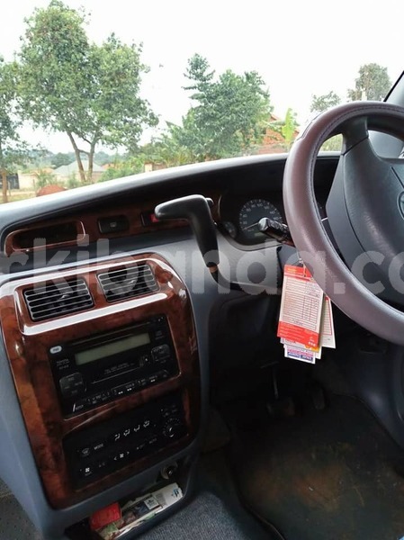 Big with watermark 44946568 1164680840346019 8417648056299683840 n