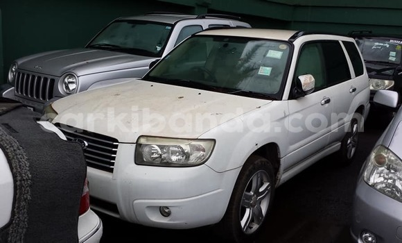 Buy Used Subaru Forester White Car in Kampala in Uganda Buy Used Subaru Forester White Car in Kampala in Uganda