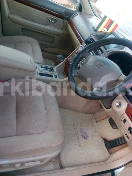 Big with watermark 45061038 1074291622753637 2033233536491716608 n