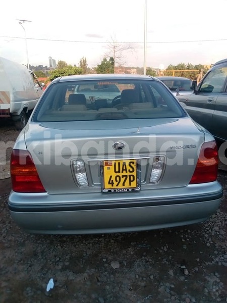 Big with watermark 45009508 1074290982753701 2799832383614877696 n