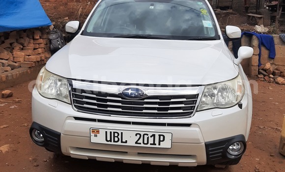 Buy Used Subaru Forester White Car in Kampala in Uganda