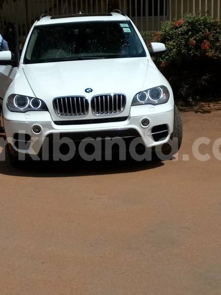 Big with watermark 44882460 548895018884436 2262526447262367744 n