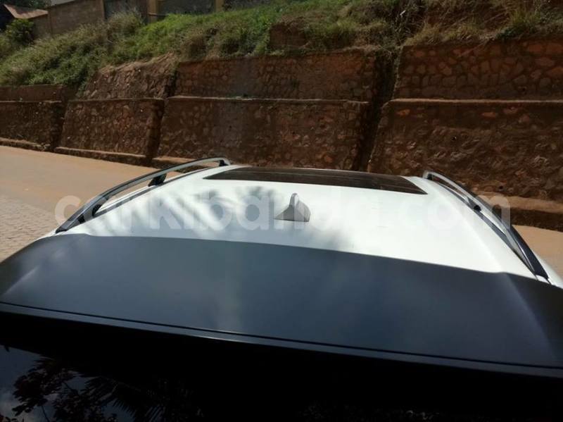 Big with watermark 43592758 548895275551077 4321452903320518656 n