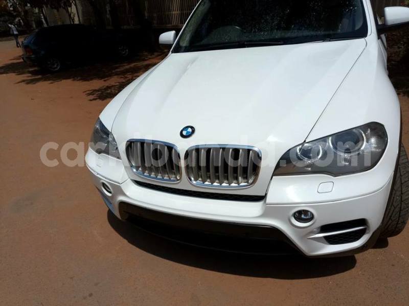 Big with watermark 44742684 548895088884429 2611249170035507200 n