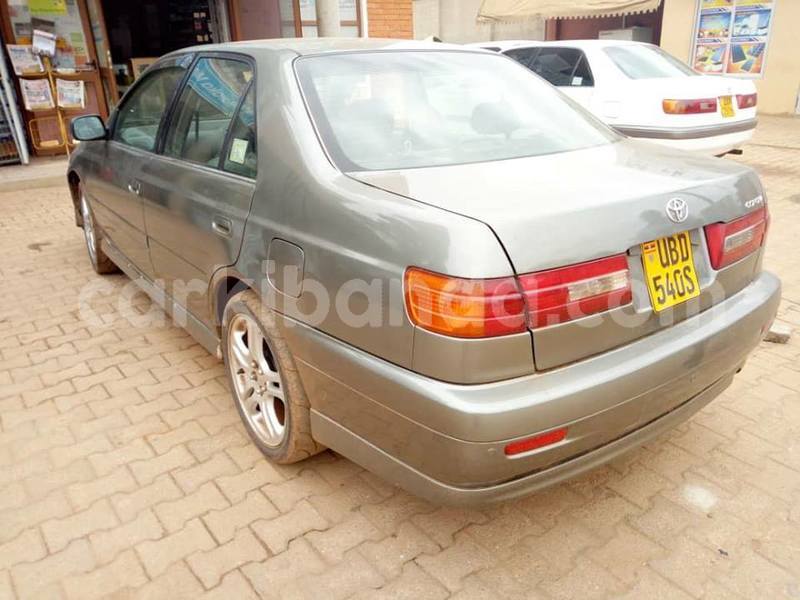 Big with watermark 44787602 548485308925407 3492673980702130176 n