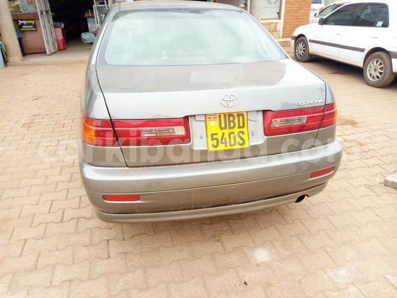 Big with watermark 44790439 548485192258752 4900172099752034304 n