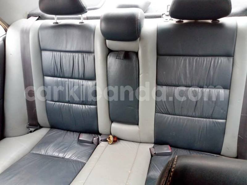 Big with watermark 44831593 548485115592093 3737734674194104320 n