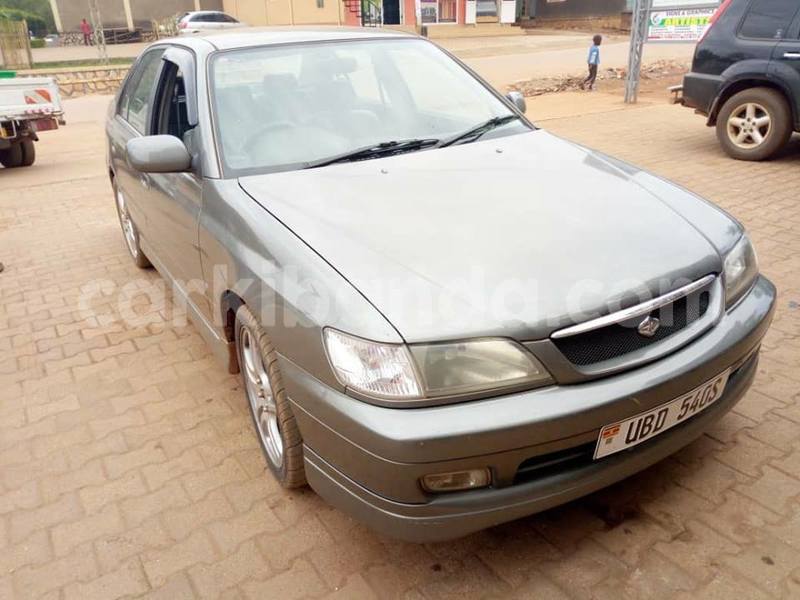 Big with watermark 44701867 548485068925431 761876934308134912 n