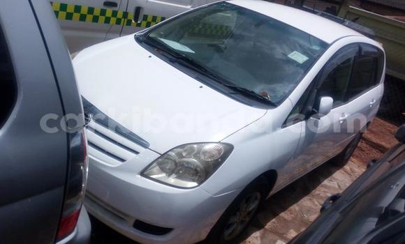 Buy Used Toyota Spacio White Car in Kampala in Uganda Buy Used Toyota Spacio White Car in Kampala in Uganda