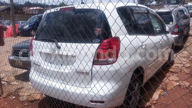 Big with watermark 44790437 548044712302800 3323630334288855040 n