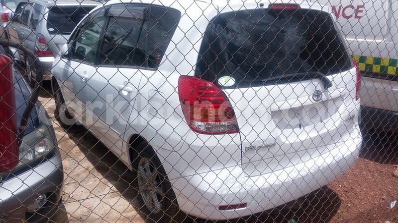 Big with watermark 44586019 548044632302808 7385109648866541568 n