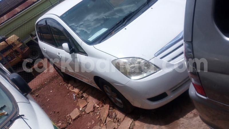 Big with watermark 44645706 548044458969492 3131544617829269504 n