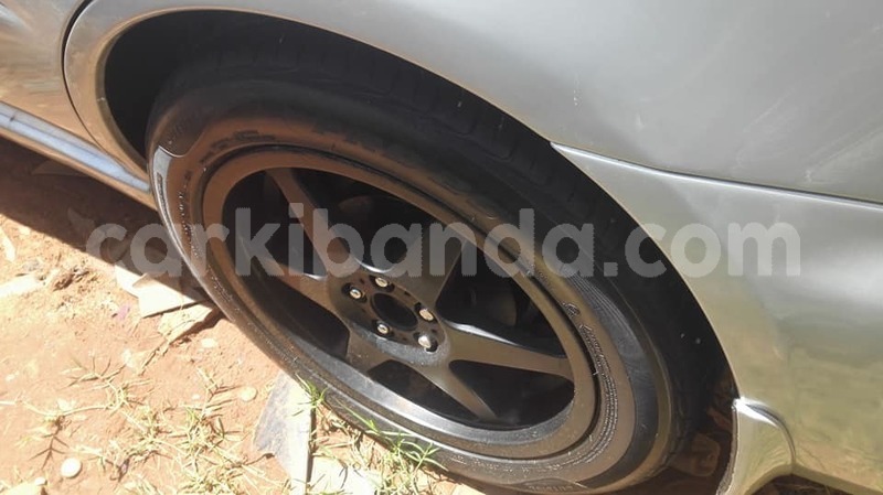 Big with watermark 44898820 2227026600676136 3745322025980264448 n