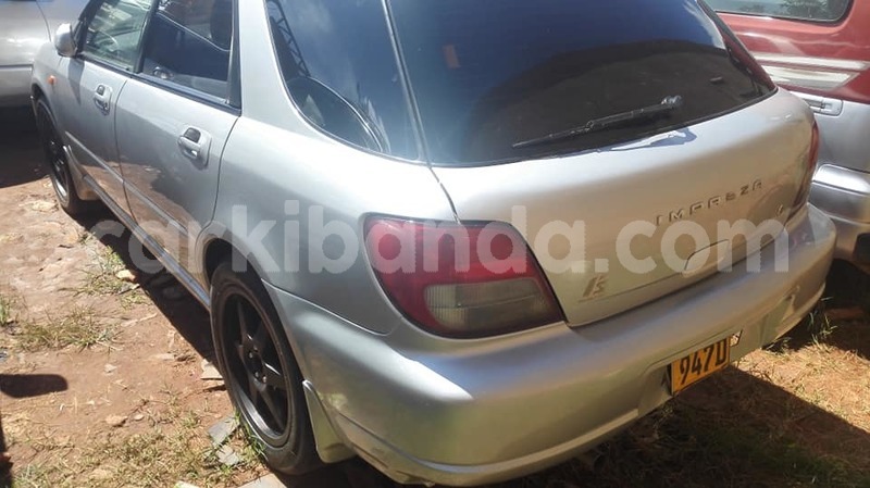 Big with watermark 44870343 2227026277342835 157265188230266880 n