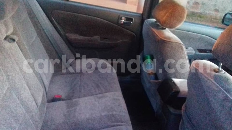 Big with watermark 43746914 2204030726309057 6649354795846991872 n