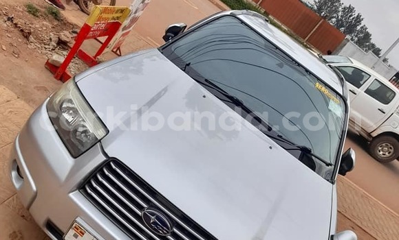 Acheter Occasion Voiture Subaru Forester Gris à Kampala, Ouganda Acheter Occasion Voiture Subaru Forester Gris à Kampala, Ouganda