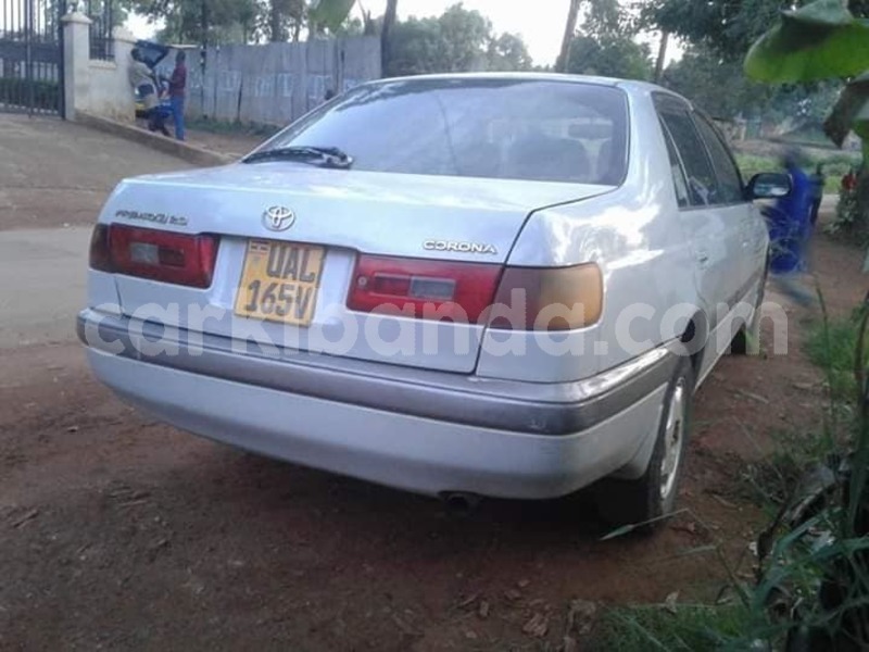 Big with watermark 42393307 881460898910097 4401121866601725952 n