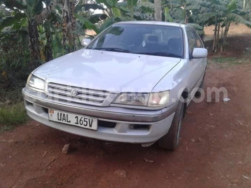 Big with watermark 43880256 157845481824638 895143421541351424 o