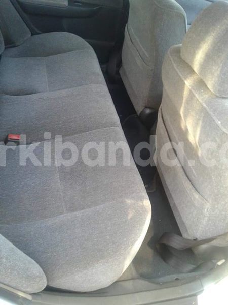 Big with watermark 43952242 157845575157962 4335428086951575552 o