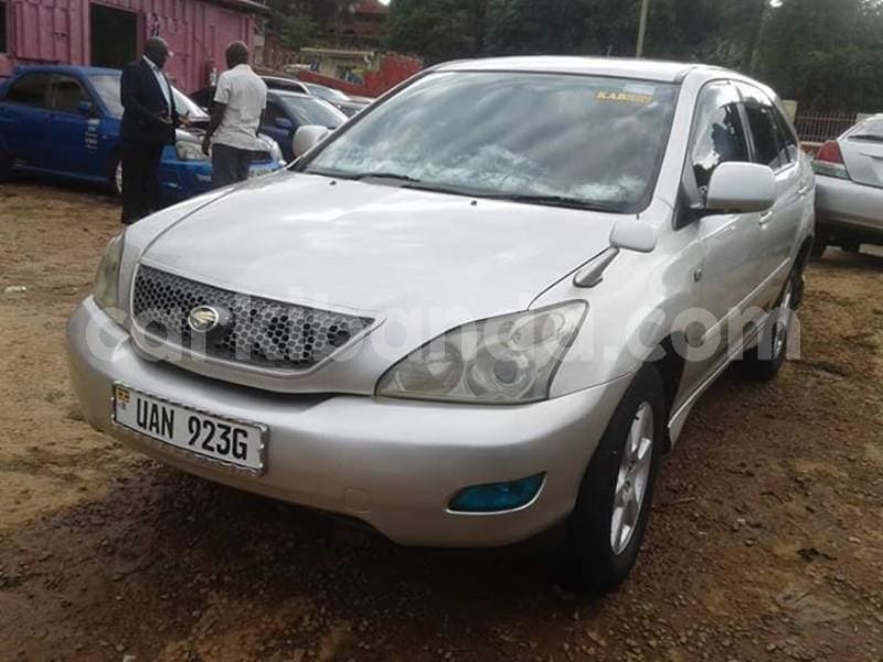 Big with watermark 43880256 157845481824638 895143421541351424 o