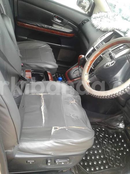 Big with watermark 43952242 157845575157962 4335428086951575552 o