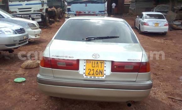 Acheter Occasion Voiture Toyota Premio Gris à Kampala, Ouganda Acheter Occasion Voiture Toyota Premio Gris à Kampala, Ouganda